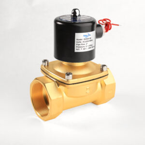 2W Brass solenoid valve