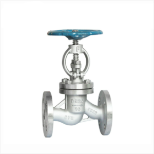 Stainless steel globe valve