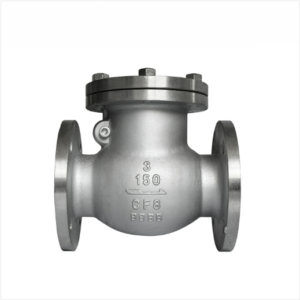 Flange Check Valve